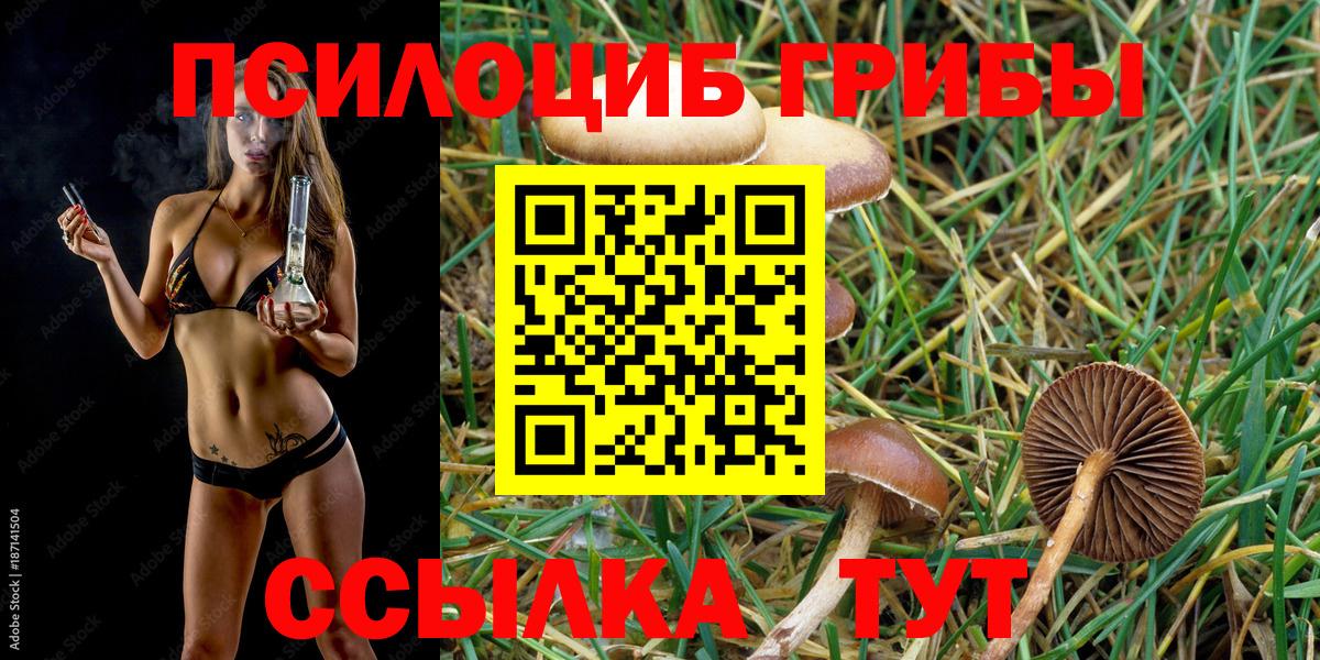 Сланцы  Псилоцибиновые грибы ЛСД  Вход с VPN 